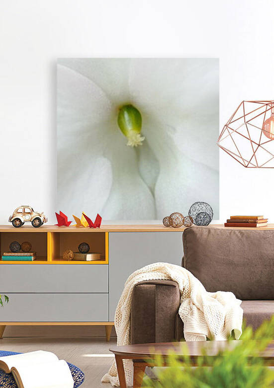 Pure by CreationLife Me
