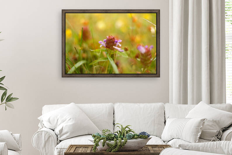 Wilds of the Meadow by CreationLife Me