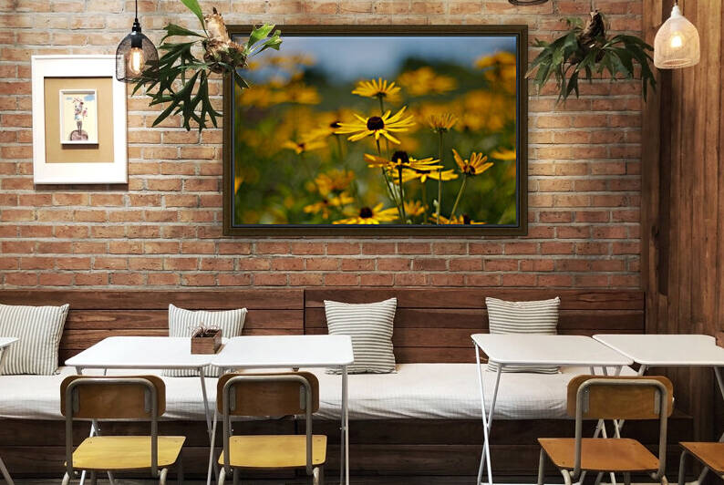 Under a Blue Sky Reproduction