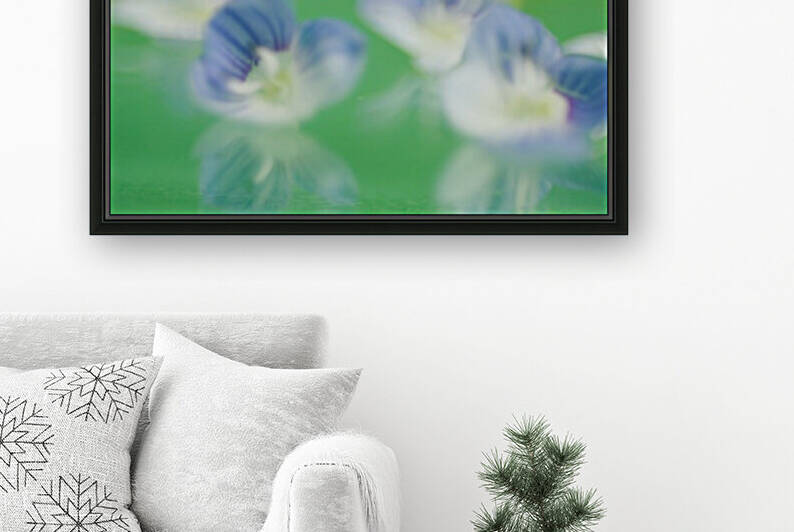 Tiny Flowers with Reflection Reproduction