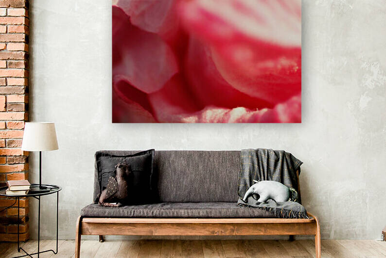 Pink Folds by CreationLife Me