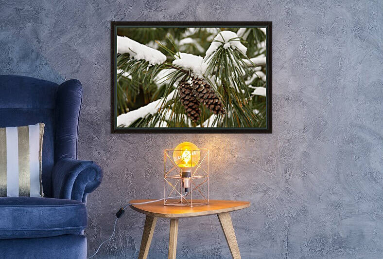 Pinecones and Snow by CreationLife Me