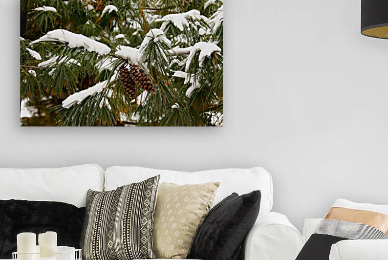 Pinecone in the Snow  by CreationLife Me