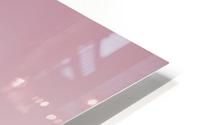 Subtle and Soft Pinks HD Metal print