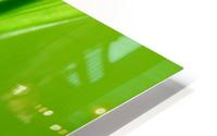 Blade  HD Metal print