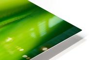 Dramatic Value Greens HD Metal print