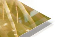 Brilliant Light HD Metal print