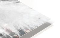 Pampass Grass HD Metal print