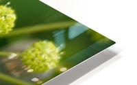 Starburst HD Metal print