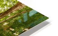 Journey HD Metal print