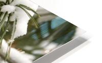 Pinecones and Snow HD Metal print