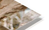 Fall Colors with Snow  HD Metal print