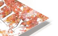 Thankfully Blessed HD Metal print
