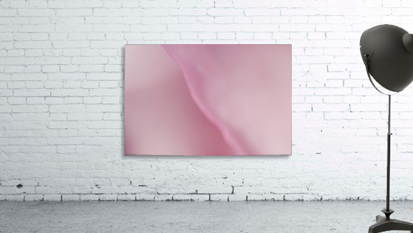Subtle and Soft Pinks Wall Preview