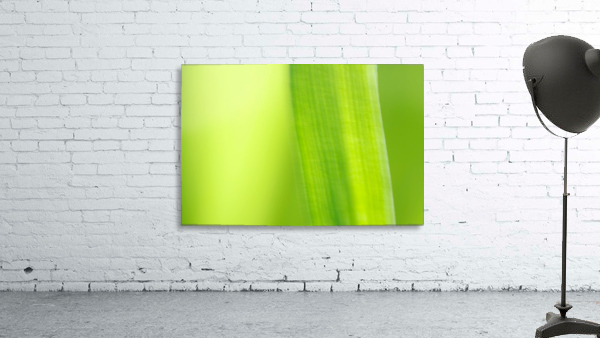 Subtle Greens Wall Preview
