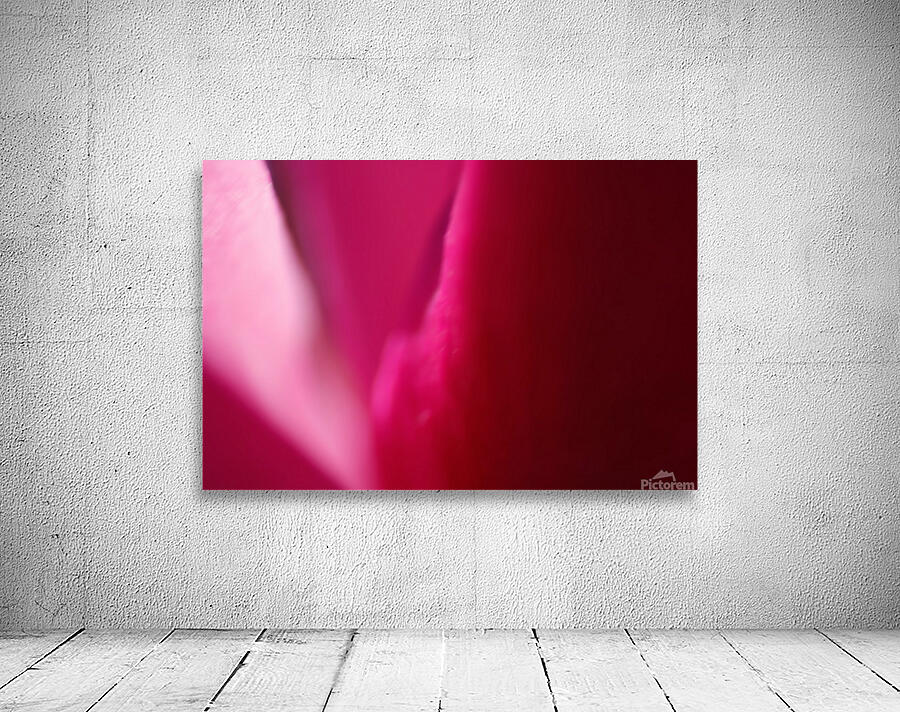 Ombre Pinks Wall Preview