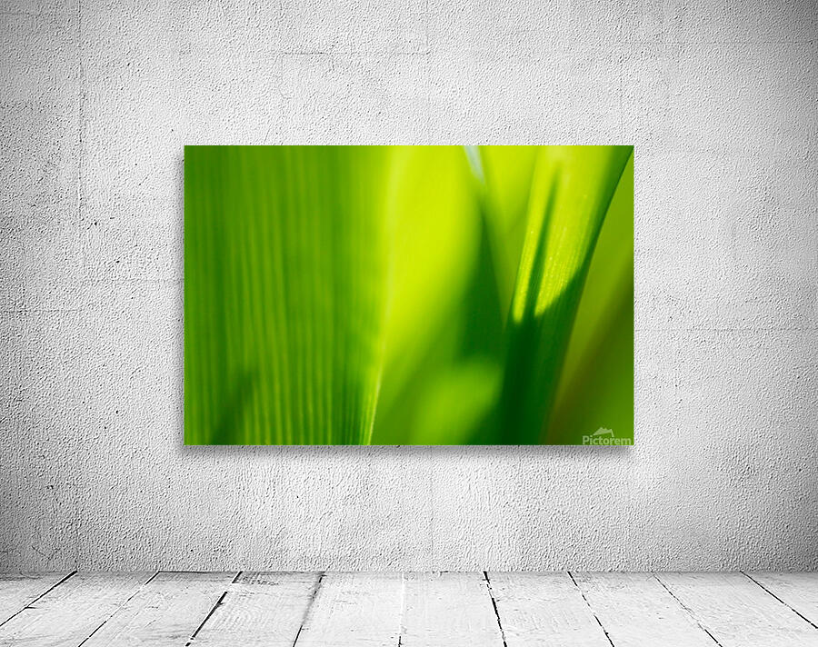 Macro Grass Wall Preview