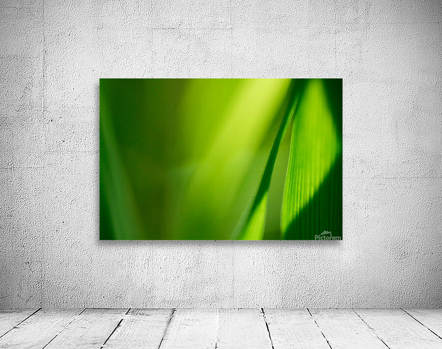 Dramatic Value Greens Wall Preview