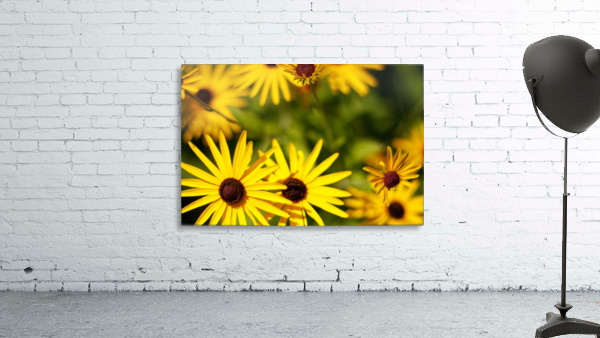 Happy Faces Wall Preview