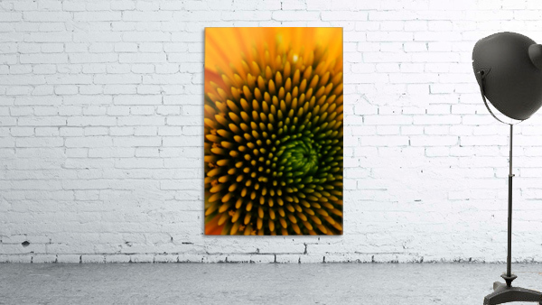 Circular Lines Wall Preview