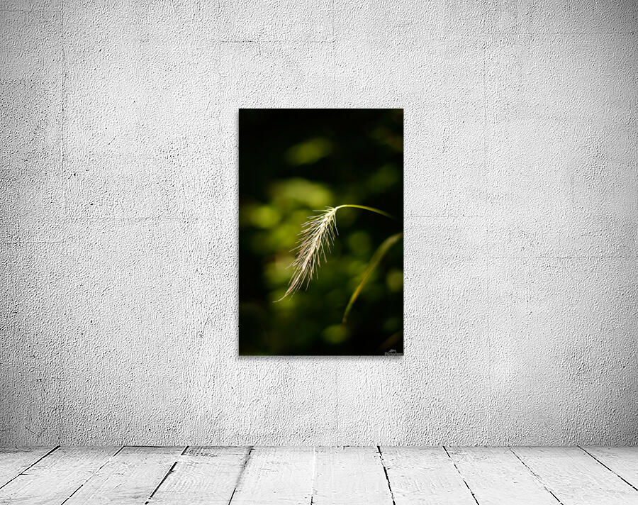 Lighted Grass Wall Preview