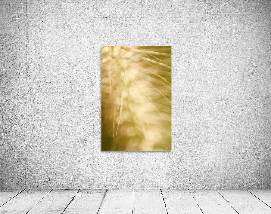 Brilliant Light Wall Preview