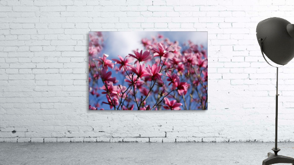 Dramatic Sky Magnolias Wall Preview
