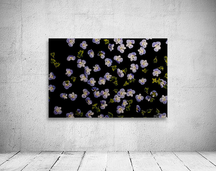 millefiori Wall Preview