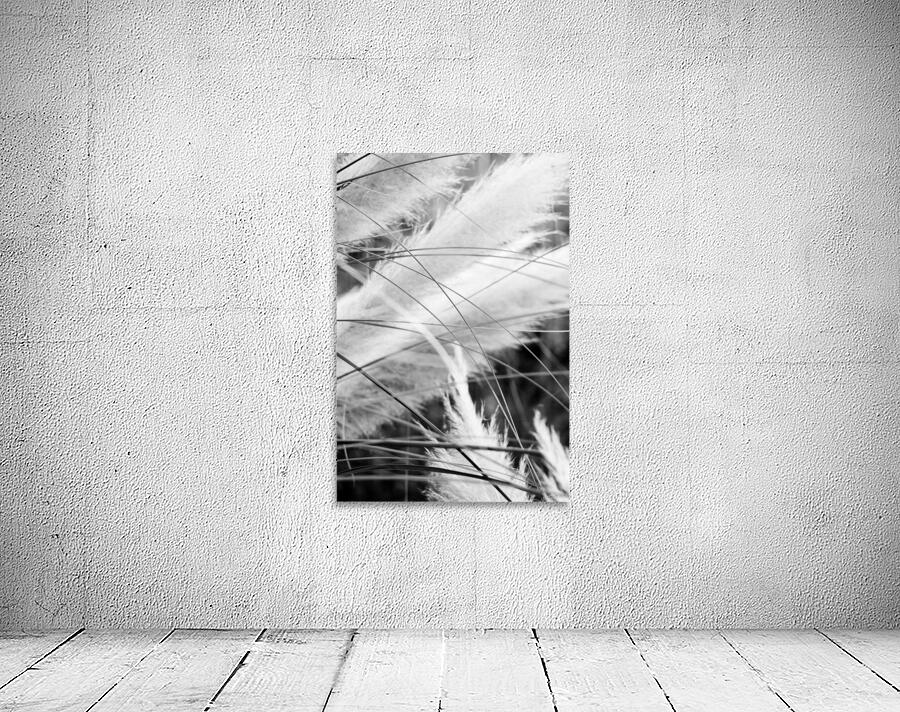 Pampass Grass Wall Preview