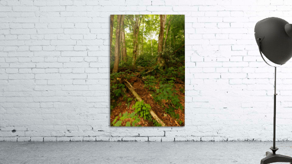 Journey Wall Preview