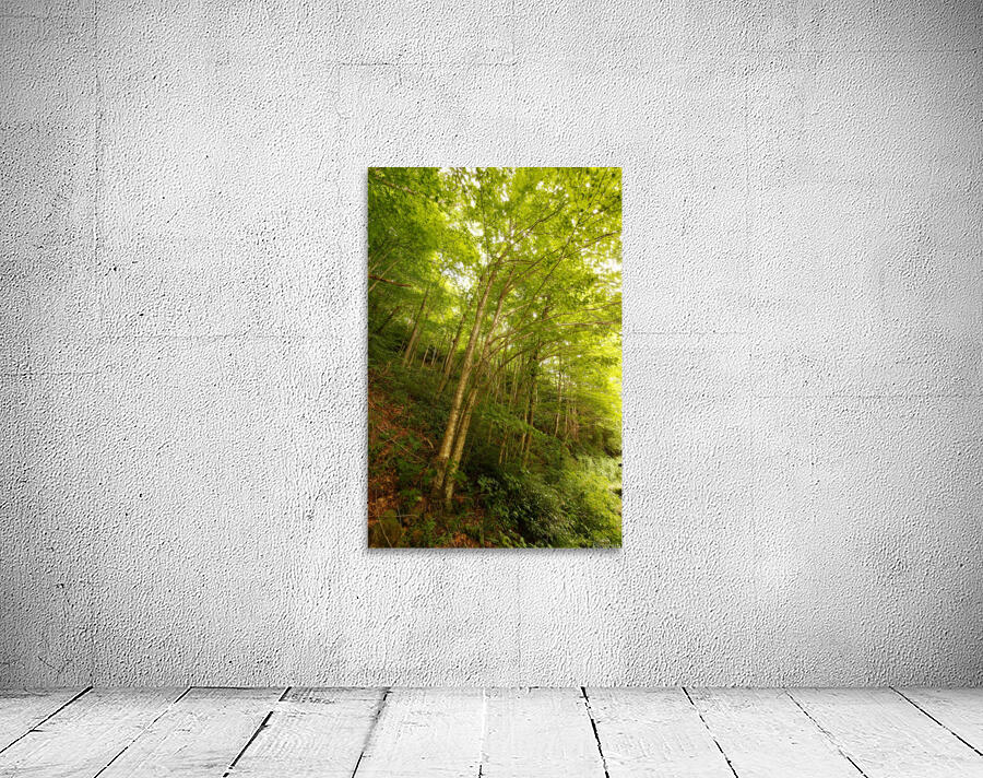 Enchanted Wall Preview