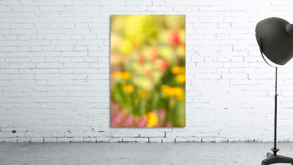 Nod to Monet Wall Preview