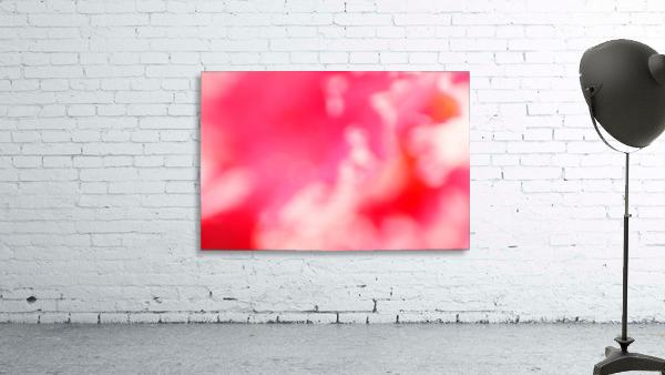 Pink Clouds Wall Preview
