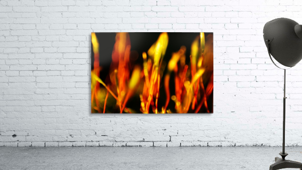 Fire Wall Preview