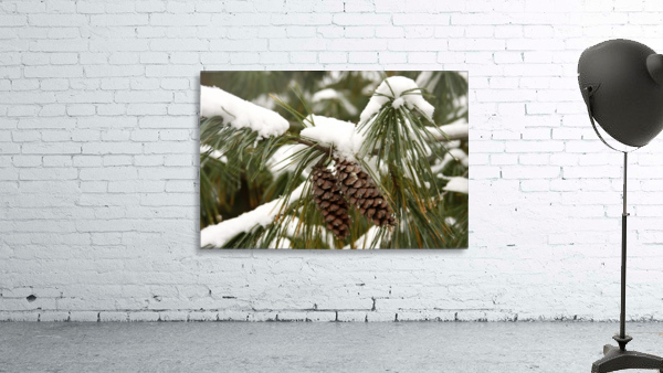 Pinecones and Snow Wall Preview