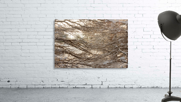 Snowy Trees Wall Preview