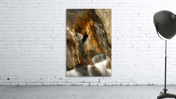Golden Flow Wall Preview
