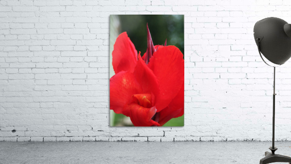 Red Wall Preview