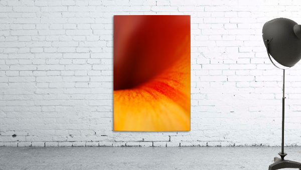 Orange Vortex  Wall Preview