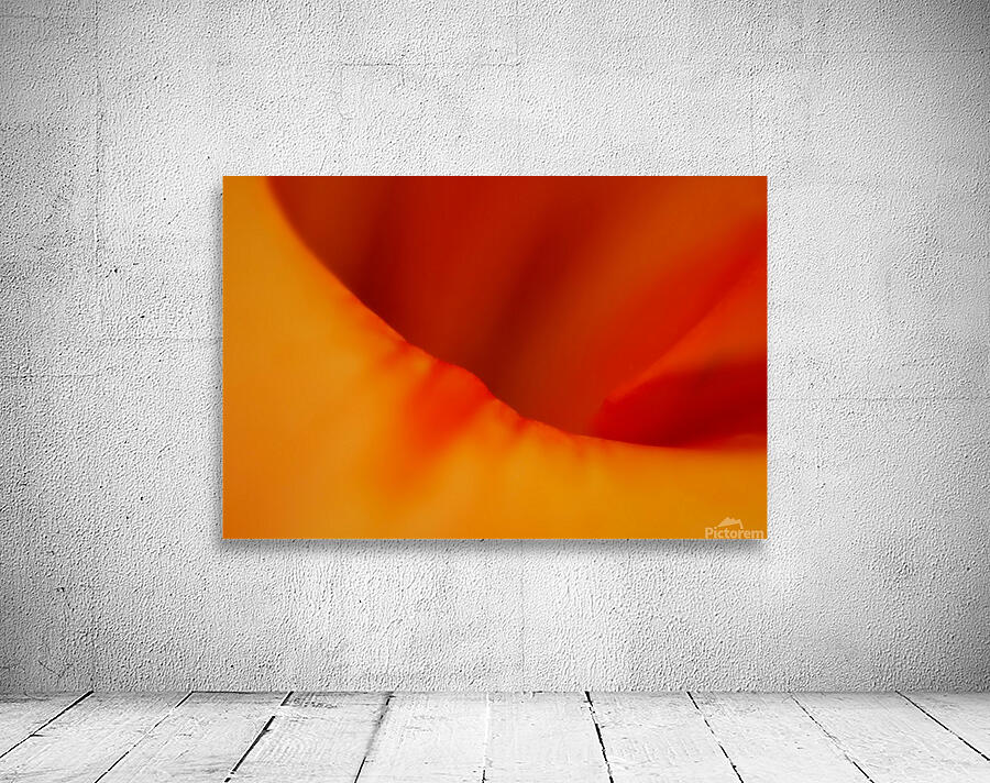 Dream Sicle  Wall Preview