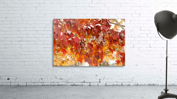 Fall Finale  Wall Preview