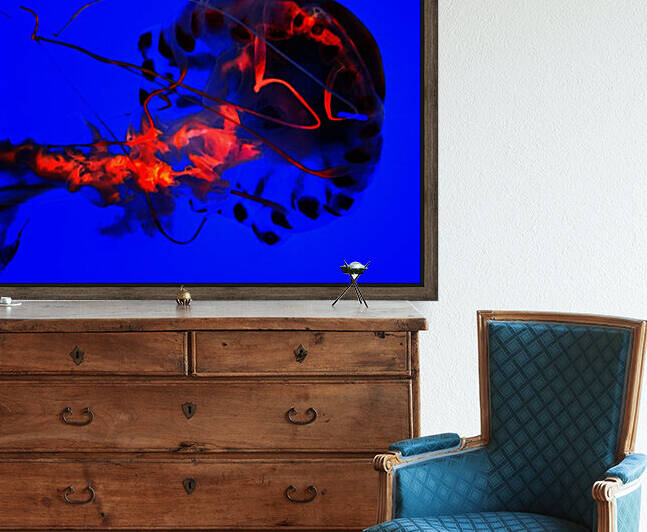 Abstract Jelly Fish  Reproduction