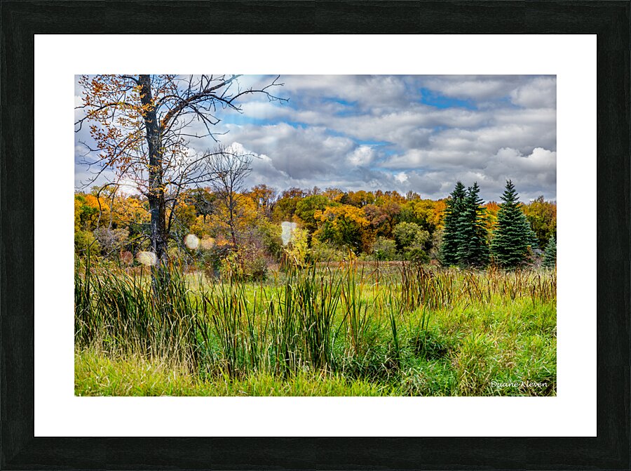 Meadow1 Picture Frame print