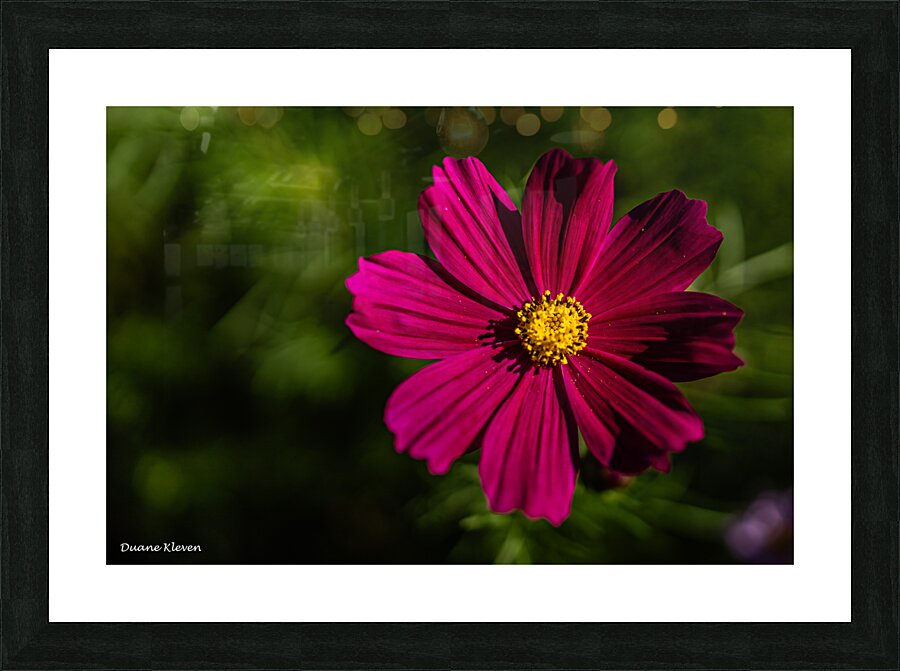 Flower6 Picture Frame print