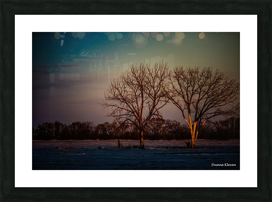 Winter Trees1 Picture Frame print