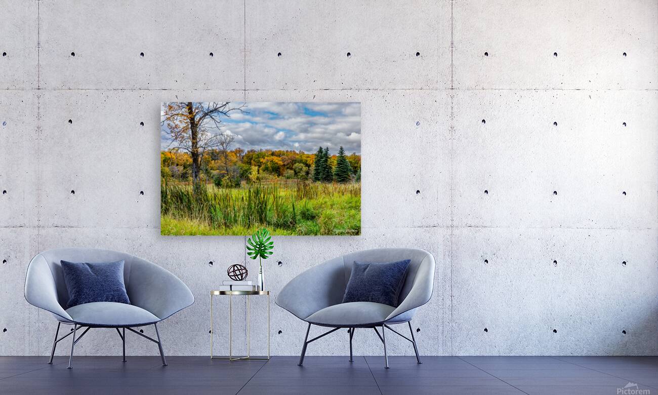 Meadow1 Reproduction