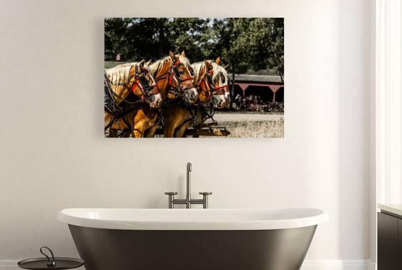 Working Horses -3 by DKleven Photography