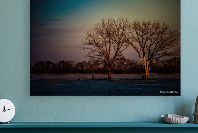 Winter Trees1 by DKleven Photography