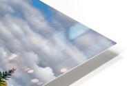 Meadow1 HD Metal print