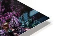 Flower1 HD Metal print